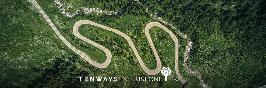 Celebrate International Forest Day with a sustainable e-bike