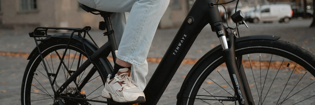 Why is the Dutch bike such a popular choice?